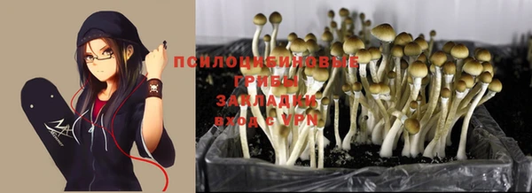 кокс Беломорск