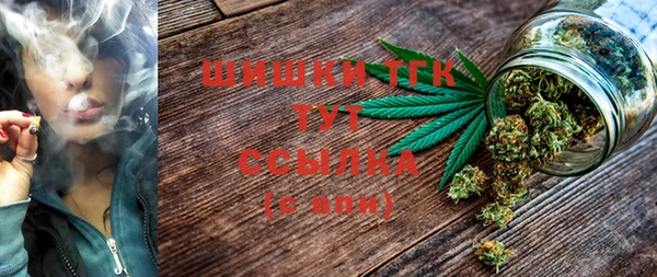 mix Белокуриха