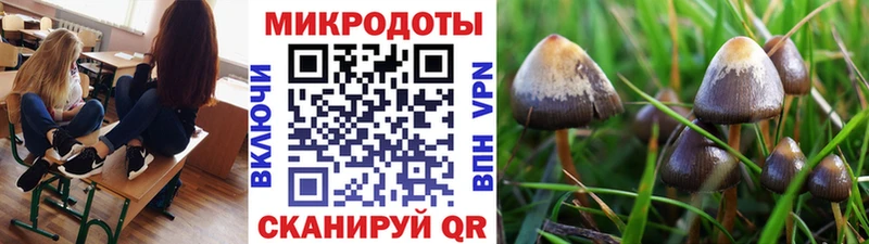 Псилоцибиновые грибы Psilocybe  как найти наркотики  Кыштым 